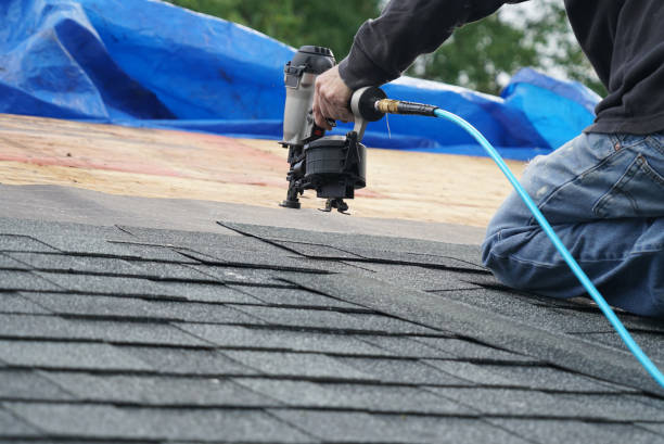 Best Chimney Flashing Repair  in Westland, MI
